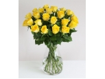 Glowing Roses - 24 Stems In Vase